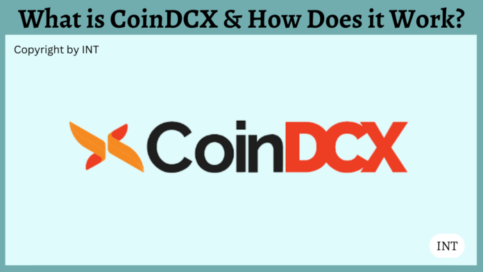 What is CoinDCX & How Does it Work?